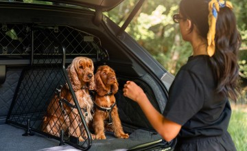 Bentley makes Bentayga pet-friendly